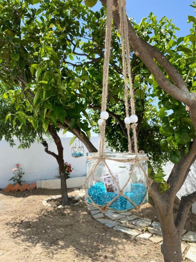 Blue Pearl Apartment Glinado Naxos Exterior foto
